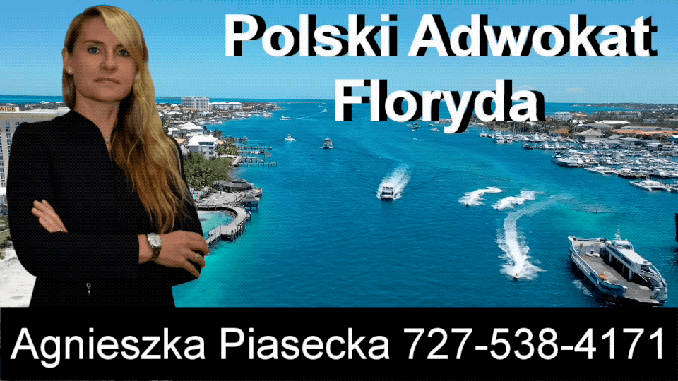 Polish, Attorney, Lawyer, Florida, USA, Agnieszka, Aga, Piasecka, 11