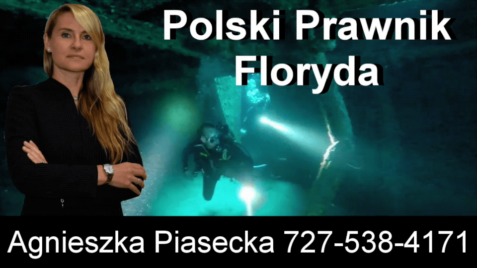 Polish, Attorney, Lawyer, Florida, USA, Agnieszka, Aga, Piasecka