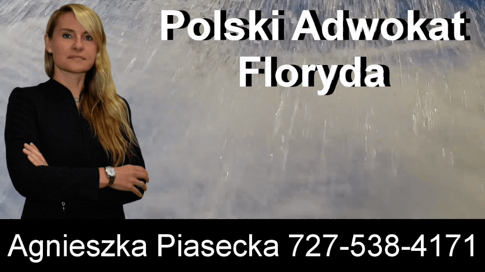 Polish, Attorney, Lawyer, Florida, USA, Agnieszka, Aga, Piasecka