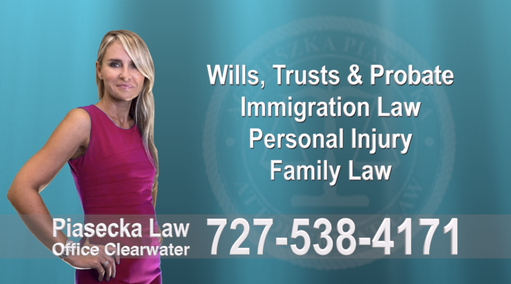 Polish, Attorneys, Lawyers, Florida, Polish, speaking, Wills, Trusts, Family Law, Personal Injury, Immigration 3