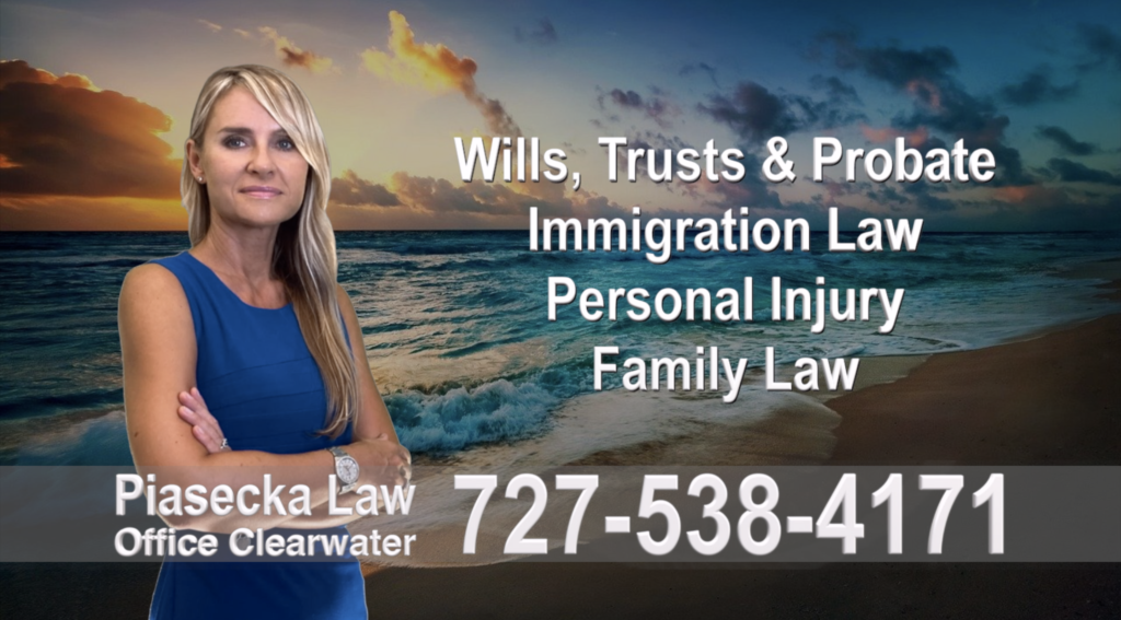 Polish, Attorneys, Lawyers, Florida, Polish, speaking, Wills, Trusts, Family Law, Personal Injury, Immigration, 8
